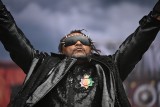 Skindred pur